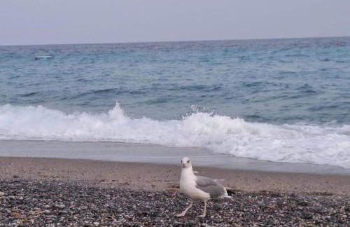 Apartment in Liguria Near Toirano Caves - Foto 75