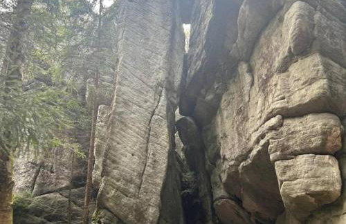 SUDECKA K0RONA domki całoroczne - Foto 36