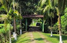 Sítio São José - Foto 20