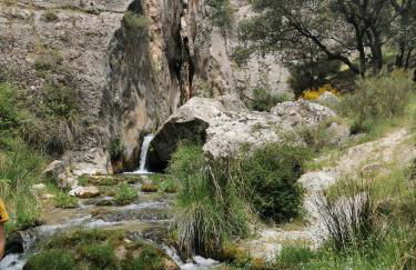 Saluda Alta - Foto 75