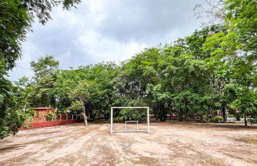 ranchorouxinol - Foto 21