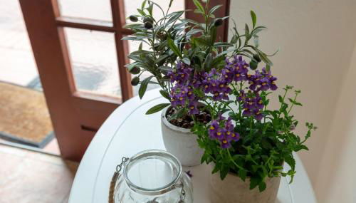 Alte Schule unter Reet- Klassenzimmer - Foto 4