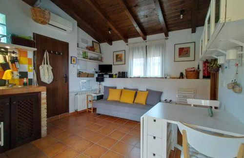 El cielo de las Pajaritas - Foto 7