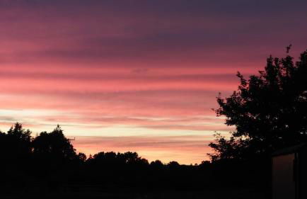 Delightful cosy shepherd's hut at Victorian Station - Foto 22