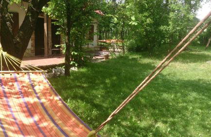 Nasza Wioska - Foto 63