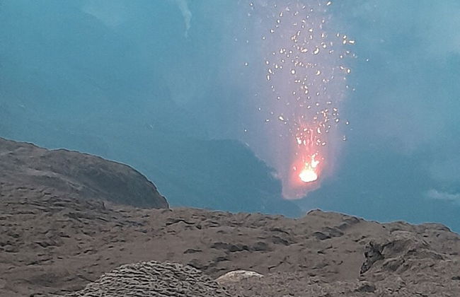 Glowing view tree house and Bangalow - Foto 23