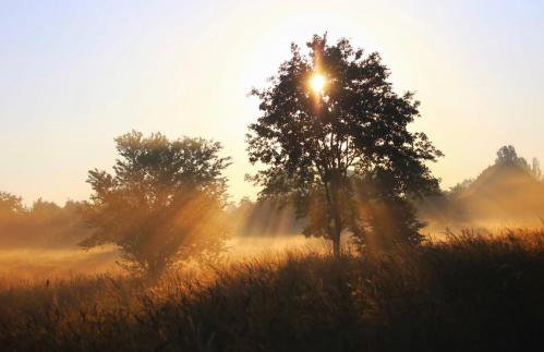 Stara Stolarnia - Foto 29