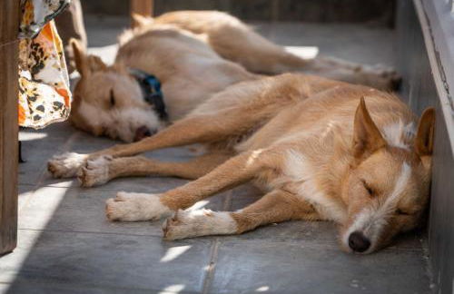 Rambla Retreats Apartment Rojo with shared pool & hot tub Stunning views in Oria - Foto 37