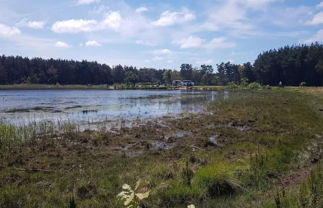 8 Person Holiday Home in Ulfborg - Foto 26