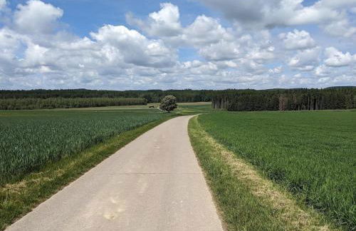 limonvélo - Foto 24