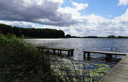 Ferienwohnungen am Krakower See - Foto 28