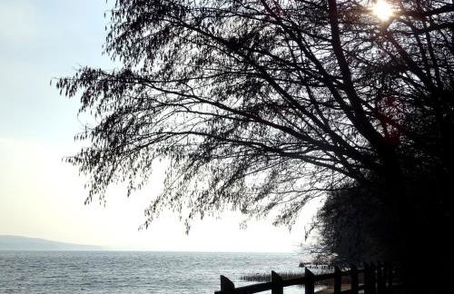 Ferienwohnung Neubrandenburg-Broda - Ruhe und mehr - Foto 22