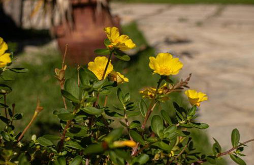 Linda Casa 7 Em Porto Com 4 quartos, 2 Piscinas e Lazer - Foto 72