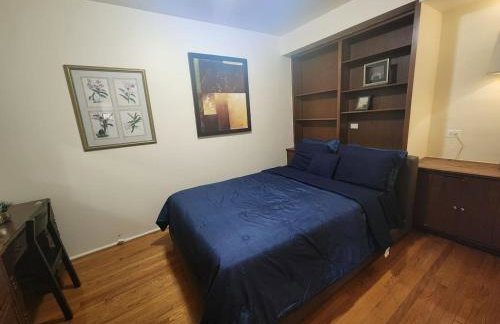 Charming Lakefront stunning View north Chicago - Foto 15