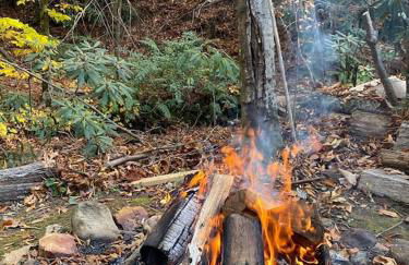 Beech Creek Cabin, lower unit, Black Mountain - Foto 34