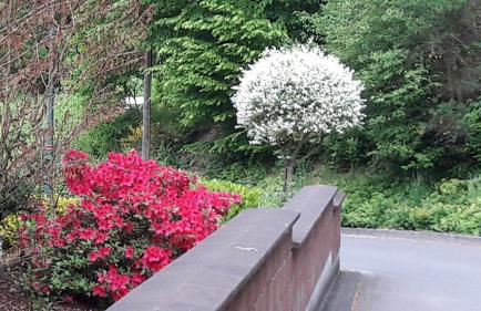 Ferienwohnung am Zeitenweg - Foto 15