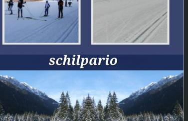 Stella alpina - Foto 2