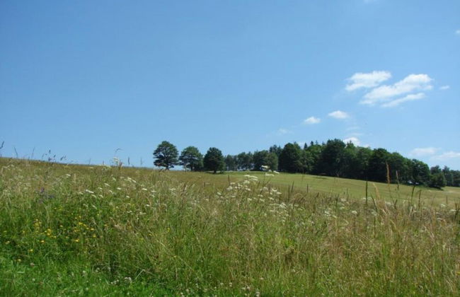 Roubenka Jesen k Mfk080 - Photo 57