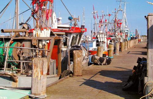 6 Personen Ferienhaus in Wendtorf - Foto 45