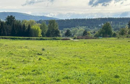 Leśny Park Polanica - Foto 13