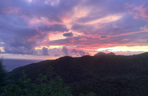 Les Asphodèles - Foto 67