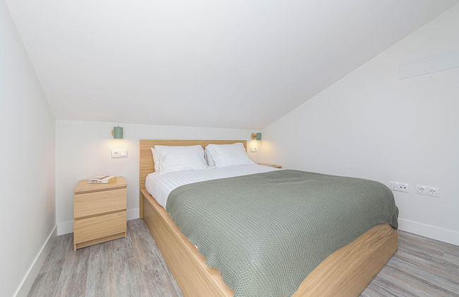 Solaga - Chinchilla - Foto 3