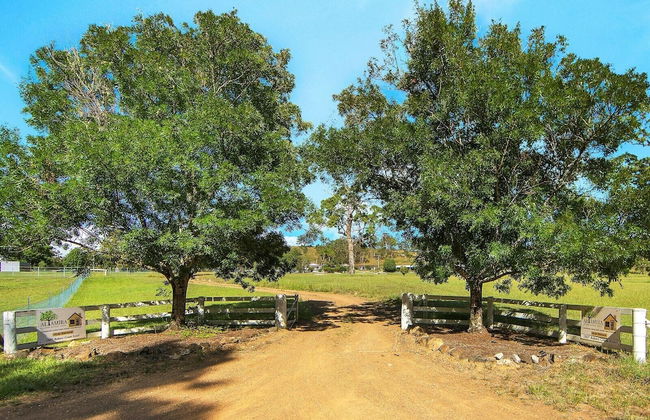 Altamira Along Bakers Creek - Photo 11