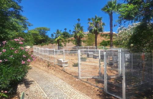 Private Wooden House - Foto 9