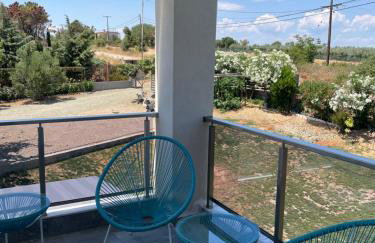 Platan Paradise - Foto 22