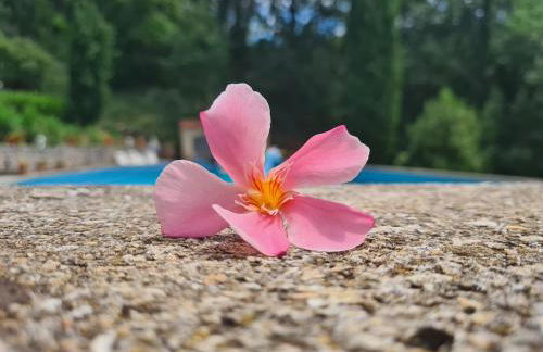 Provence villa with large pool and amazing view - Foto 42