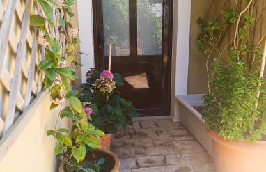 The Green House - Foto 8