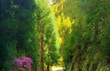 Azor International Apartment II - Foto 21