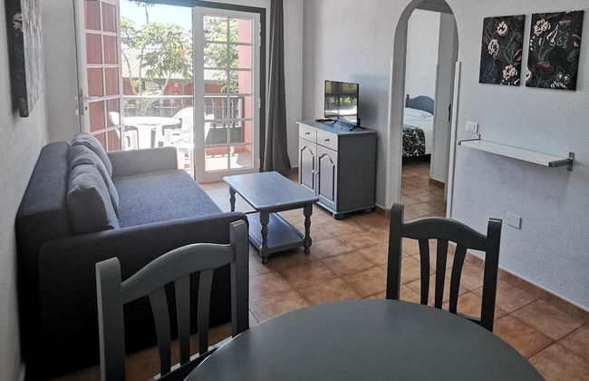 Apartamentos Oasis San Antonio - Foto 17