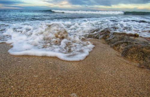 La ramasola & il datterino - Foto 47