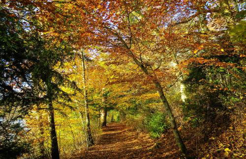 The Five Turrets: Stay in Scotland in Style in a Historic Four-bed Holiday Home - Foto 75