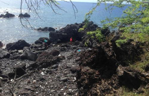 Country Cottage in Papa Bay - Foto 34