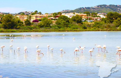 Frontview Sea Vista - Photo 58