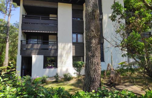 Appt Seignosse le Penon - plages commerces à pied - Foto 21