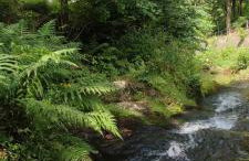 Chata Wilczka - Foto 16