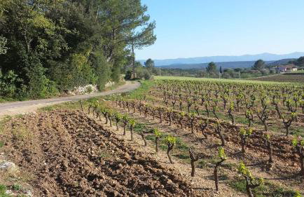 La Tour de Roubeirolle - Foto 47