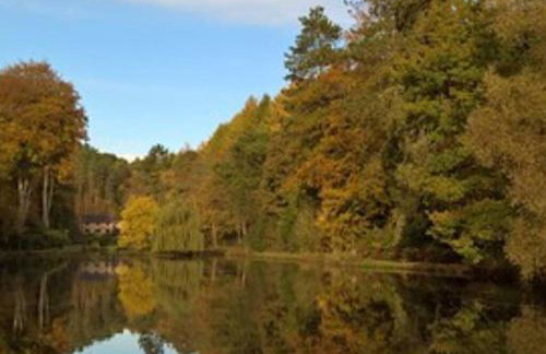 Cosy cottage near Alton Towers - Foto 13