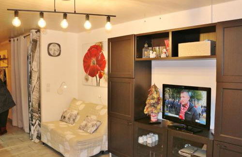 Studio pied de pistes avec place de parking privé extérieure LA MONGIE TOURMALET - Pic du midi - Foto 13