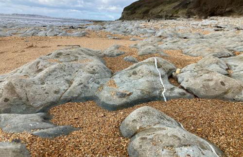 The Hollies, Dorset - Foto 45