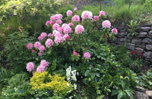 Gushat Cottage - Foto 37