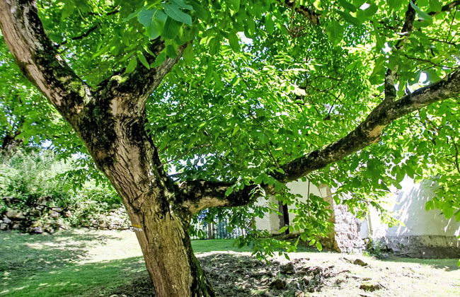 Uxaneko-errota - Photo 19