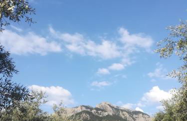 Lucia's Home - Foto 27