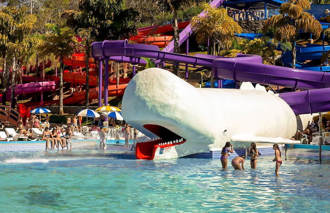 Chalés do Thermas Águas de Lindoia - Photo 39