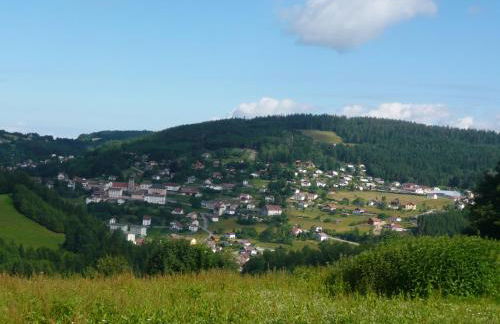 Chalet luxe 12 personnes SPA SAUNA VOSGES-GERARDMER - Foto 40