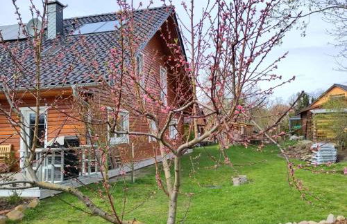 Apartment in Müncheberg 53547 - Photo 1