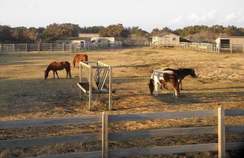 RSR2B - Pamlico Vista - Foto 62